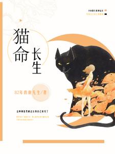 另一个版本的猫